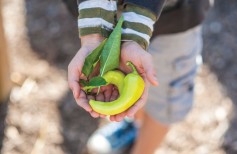 building-curriculum-10