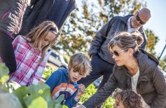 building-curriculum-11