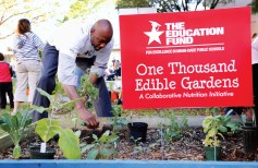 sustainable-stadium-01