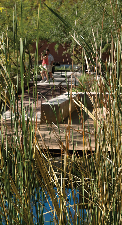 The University of Arizona has a recent history of designing landscapes that conserve water resources, such as the Sonoran Landscape Laboratory that uses 83 percent less potable water than similar Tucson landscapes.