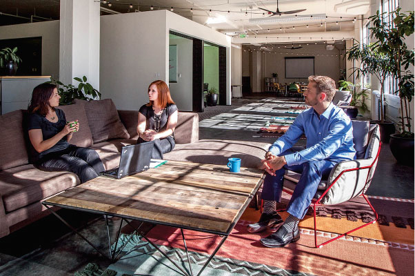 Paladino_office-space2