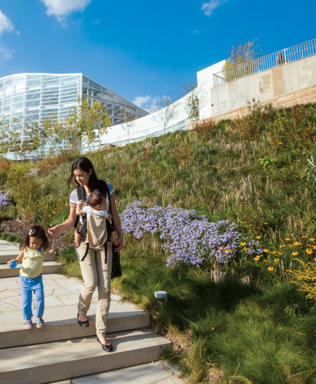 Center-for-Sustainable-Landscapes-Path_CREDIT-Annie-O'Neill