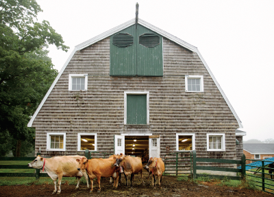 sustainableheritage_06