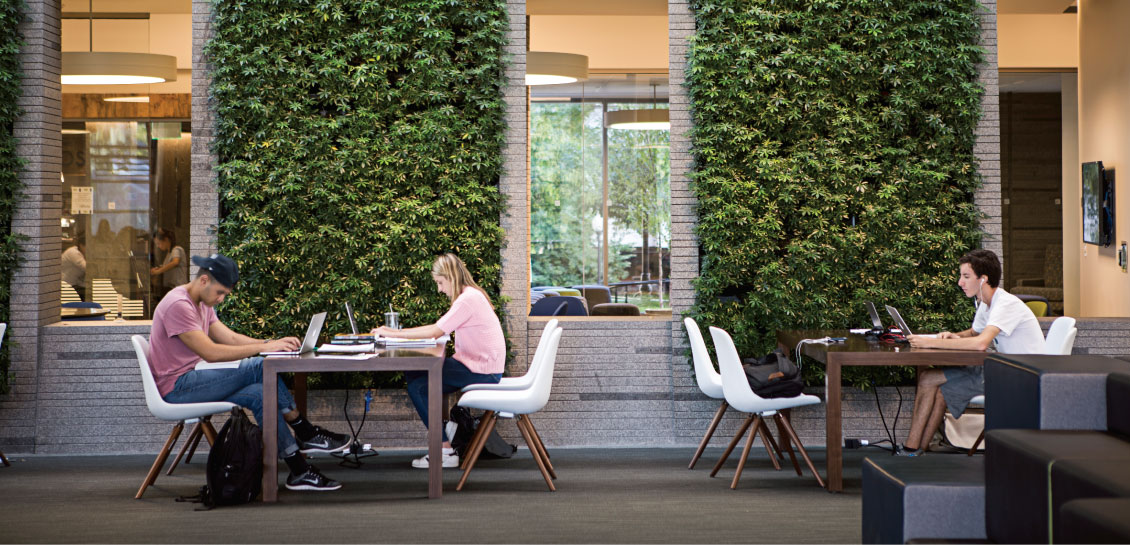 americas-greenest-college-town-02