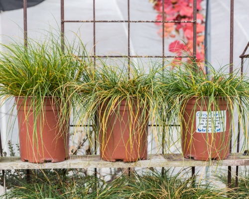 12-15_USGBC_Middlebrook-078