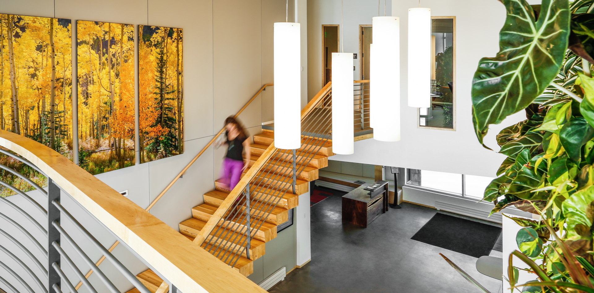 PathwaystoProgress-02